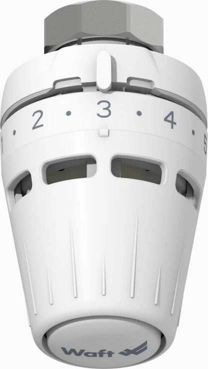 Cabezal termostático Waft V2 M30 x 1.5 sensor líquido blanco 6-28°C